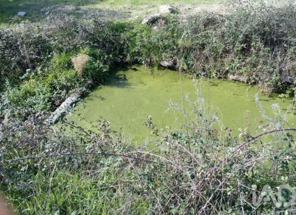 Terreno para Venda em Peraboa Foto 20