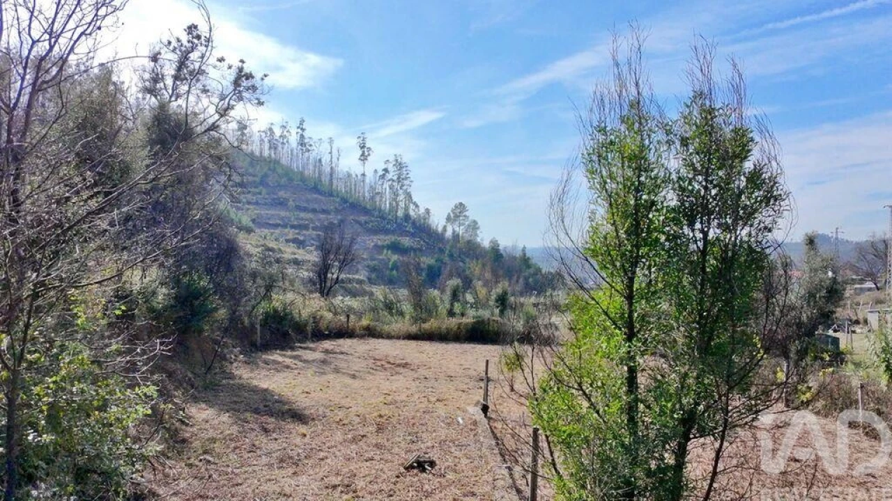 Terreno para Venda em Foz do Sousa e Covelo Foto 5