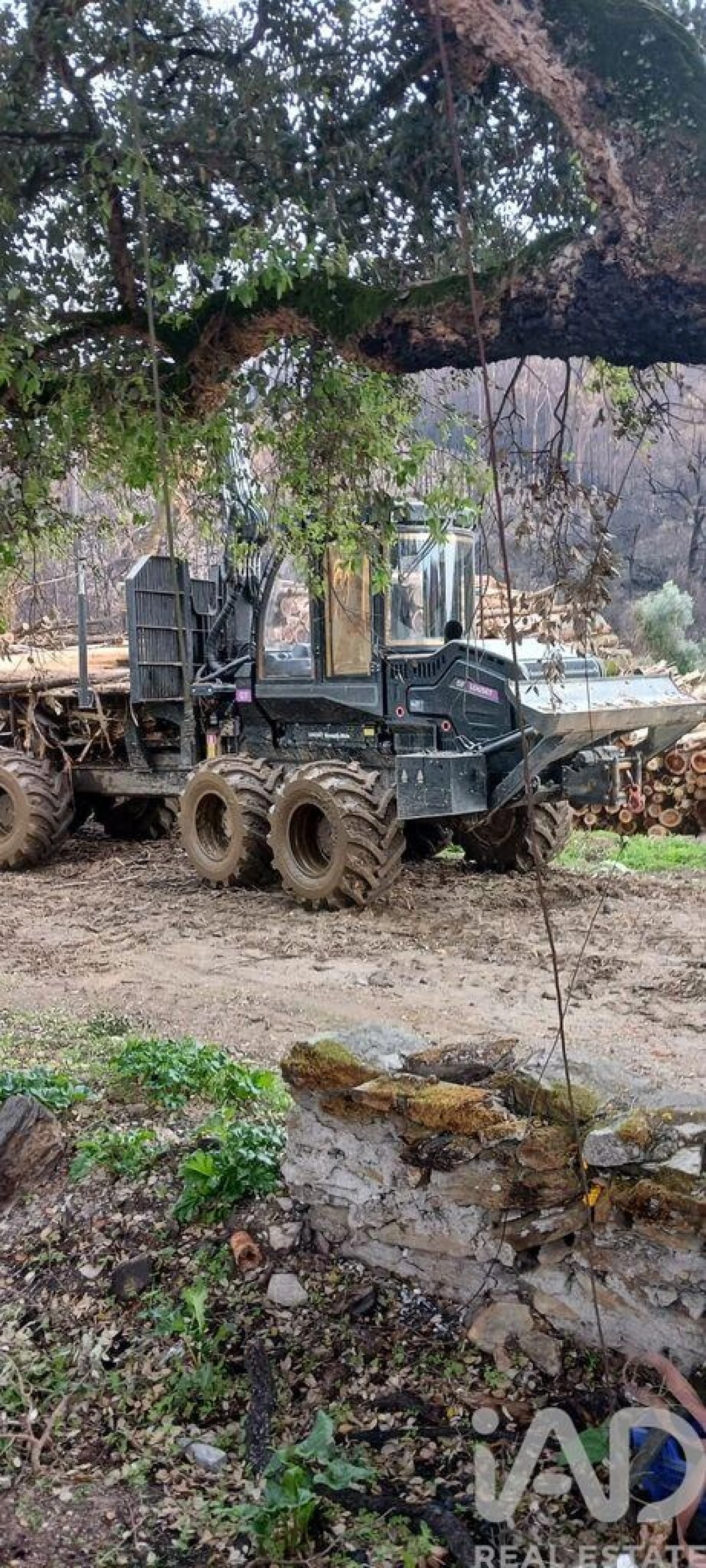 Terreno para Venda em Foz do Sousa e Covelo Foto 5