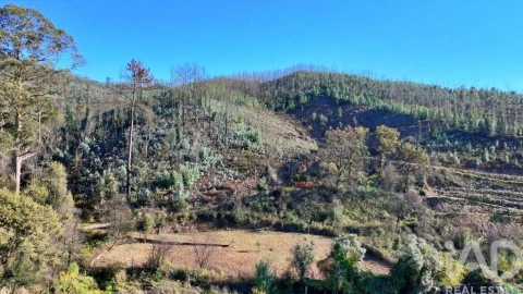 Terreno para Venda em Foz do Sousa e Covelo