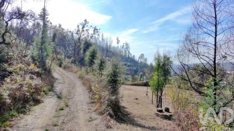 Terreno para Venda em Foz do Sousa e Covelo