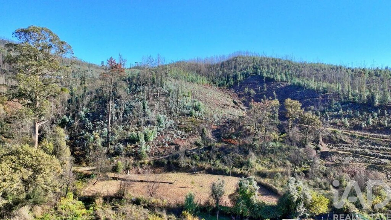 Terreno para Venda em Foz do Sousa e Covelo Foto 14