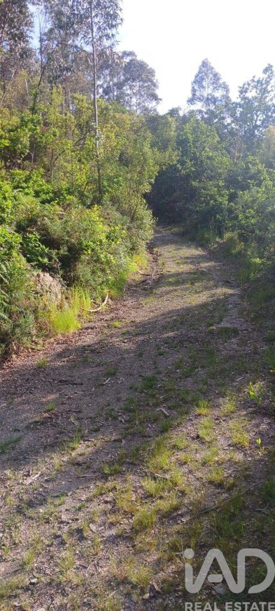 Terreno para Venda em Foz do Sousa e Covelo Foto 8