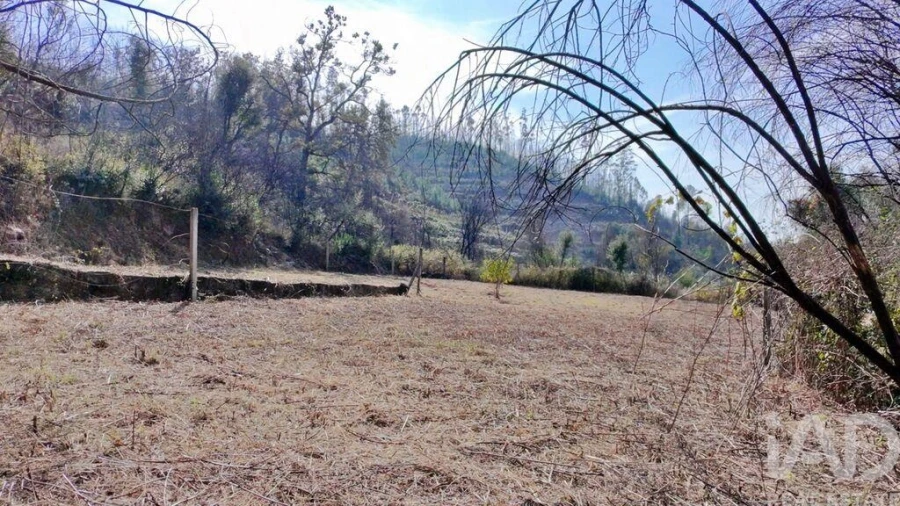 Terreno para Venda em Foz do Sousa e Covelo Foto 10