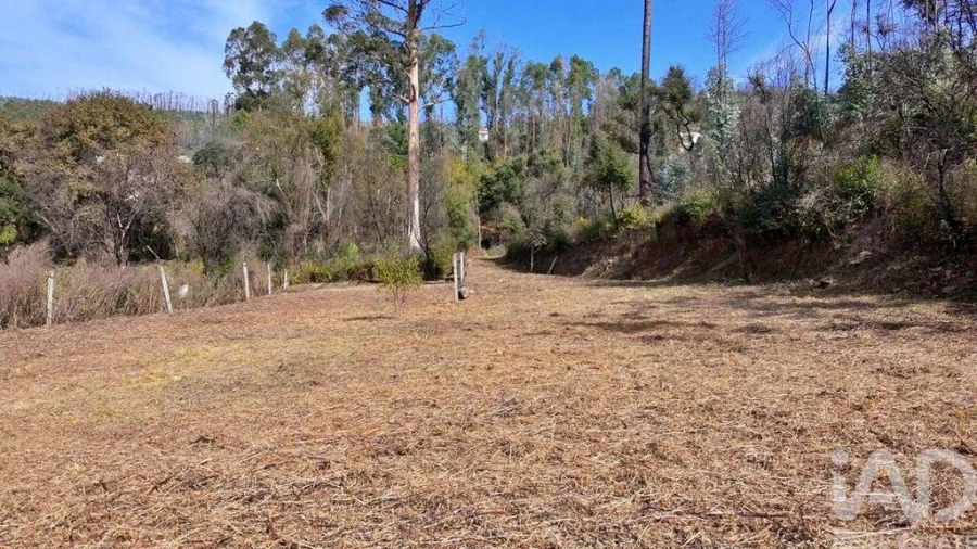 Terreno para Venda em Foz do Sousa e Covelo Foto 7