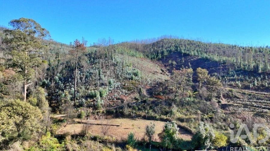 Terreno para Venda em Foz do Sousa e Covelo Foto 14