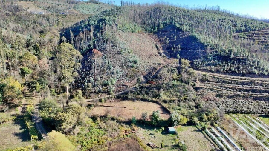 Terreno para Venda em Foz do Sousa e Covelo Foto 15