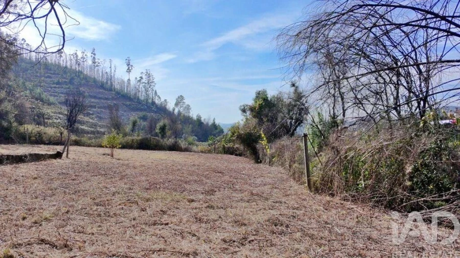 Terreno para Venda em Foz do Sousa e Covelo Foto 9