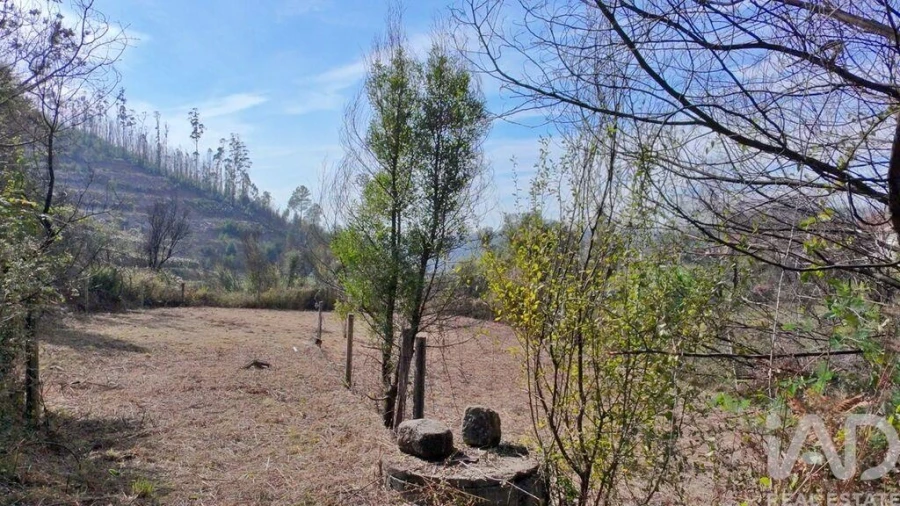 Terreno para Venda em Foz do Sousa e Covelo Foto 11