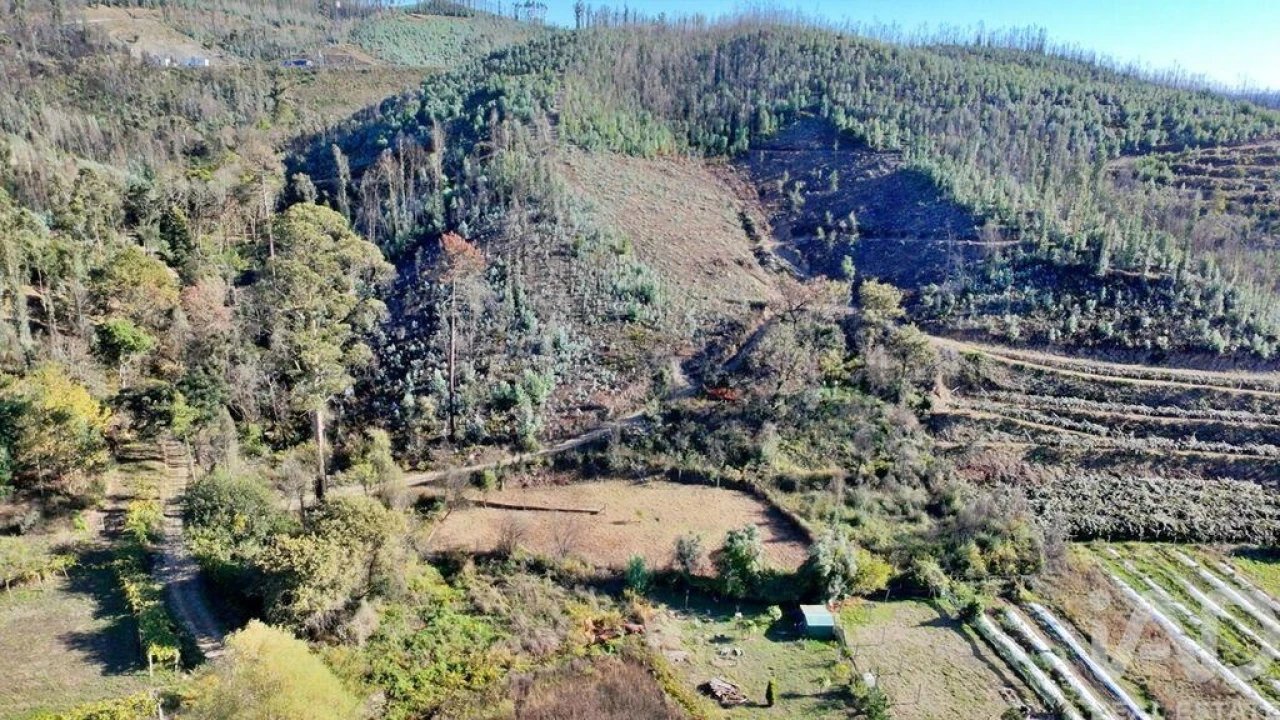 Terreno para Venda em Foz do Sousa e Covelo Foto 15