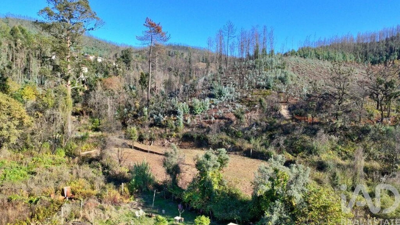 Terreno para Venda em Foz do Sousa e Covelo Foto 17