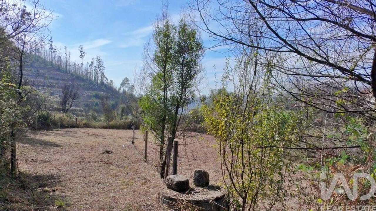 Terreno para Venda em Foz do Sousa e Covelo Foto 11