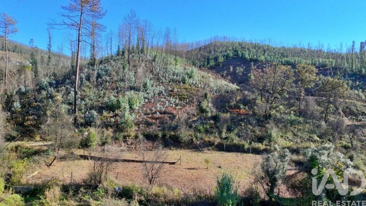 Terreno para Venda em Foz do Sousa e Covelo Foto 22
