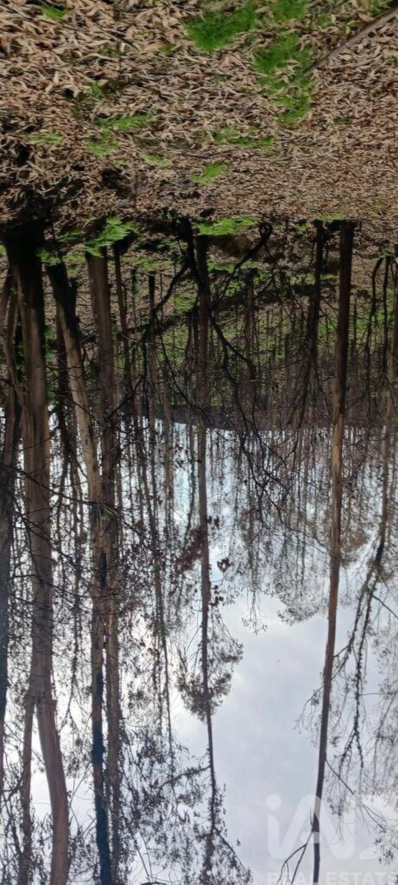 Terreno para Venda em Foz do Sousa e Covelo Foto 13