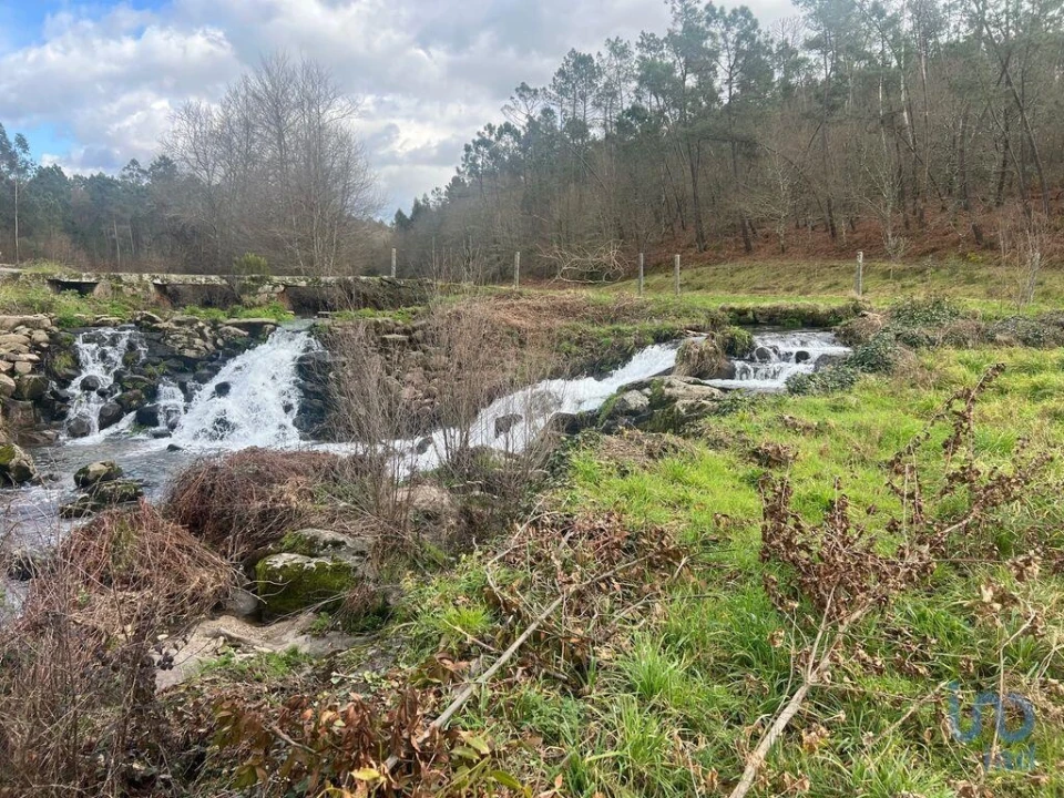 Terreno para Venda em Carvalhais e Candal Foto 13