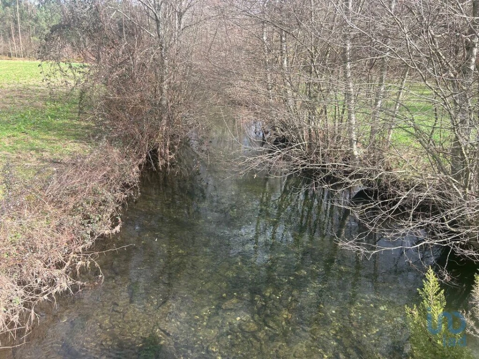 Terreno para Venda em Carvalhais e Candal Foto 15