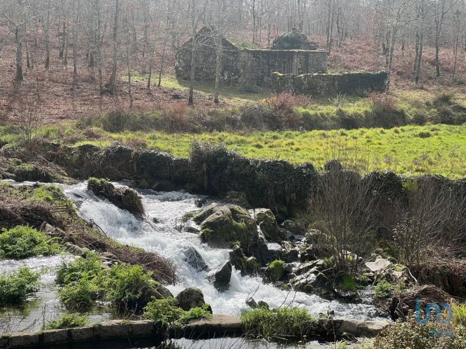 Terreno para Venda em Carvalhais e Candal Foto 1