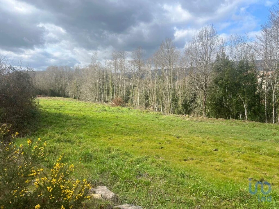 Terreno para Venda em Carvalhais e Candal Foto 9