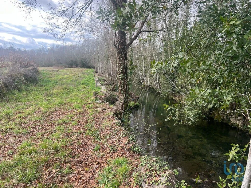Terreno para Venda em Carvalhais e Candal Foto 8