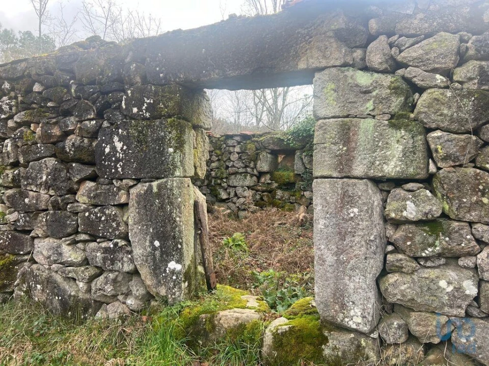 Terreno para Venda em Carvalhais e Candal Foto 10