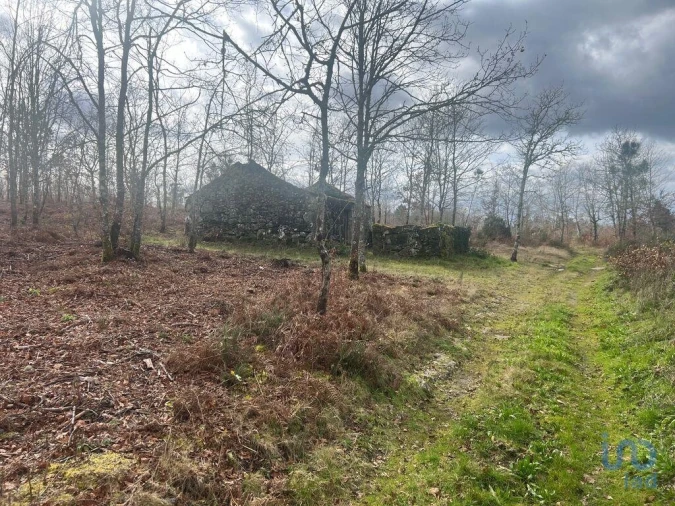 Terreno para Venda em Carvalhais e Candal Foto 5