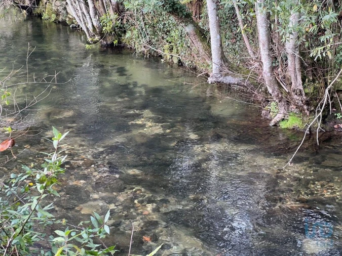 Terreno para Venda em Carvalhais e Candal Foto 12