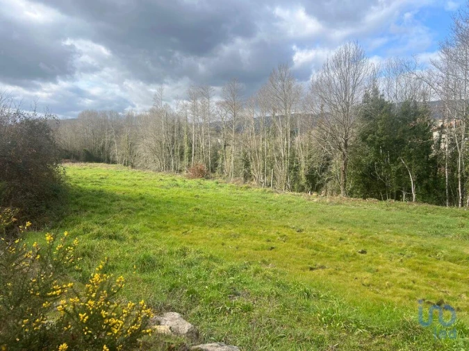 Terreno para Venda em Carvalhais e Candal Foto 9