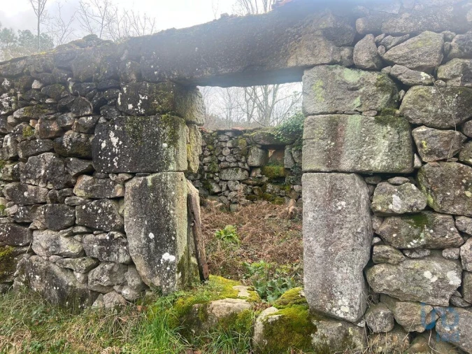 Terreno para Venda em Carvalhais e Candal Foto 10