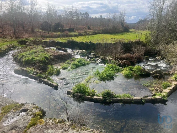 Terreno para Venda em Carvalhais e Candal Foto 3