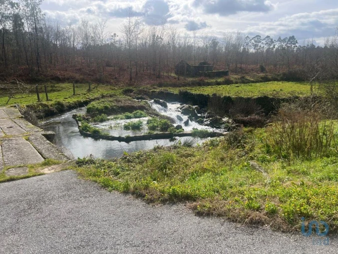 Terreno para Venda em Carvalhais e Candal Foto 2
