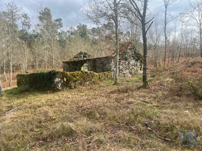 Terreno para Venda em Carvalhais e Candal Foto 14