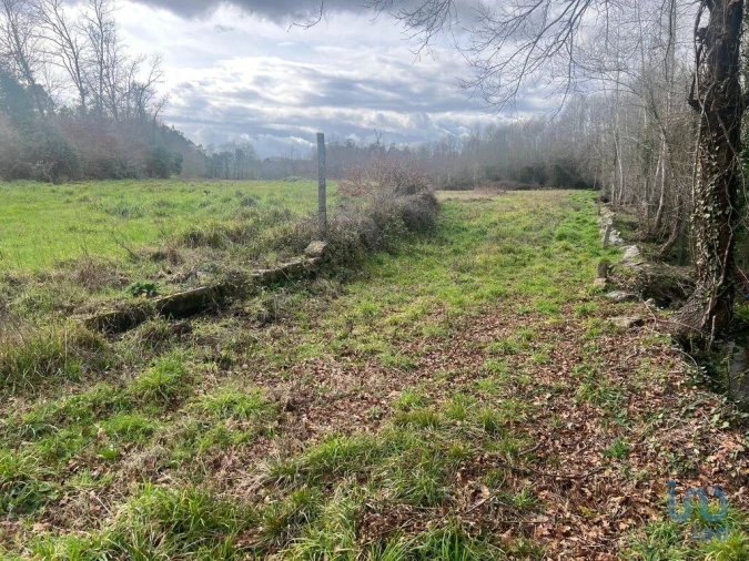 Terreno para Venda em Carvalhais e Candal Foto 11