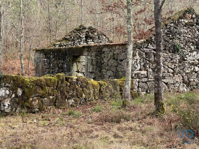Terreno para Venda em Carvalhais e Candal Foto 6