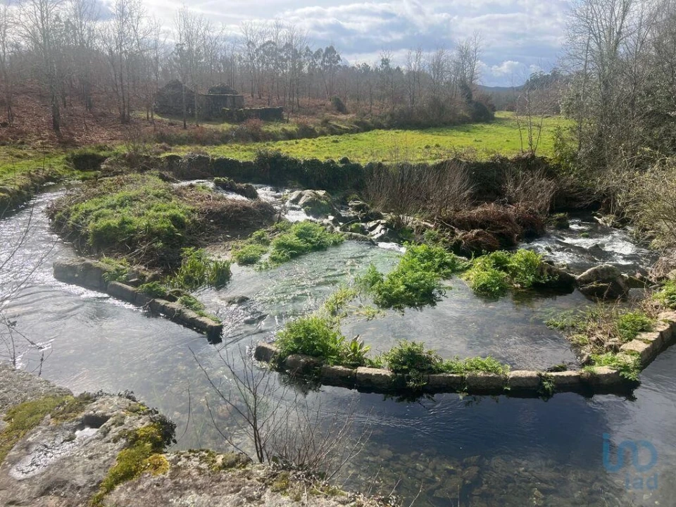 Terreno para Venda em Carvalhais e Candal Foto 3