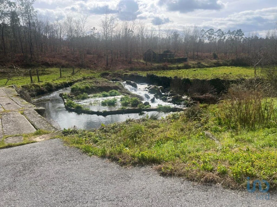 Terreno para Venda em Carvalhais e Candal Foto 2
