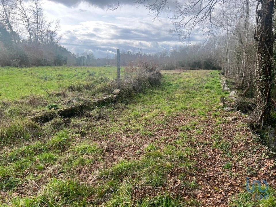 Terreno para Venda em Carvalhais e Candal Foto 11