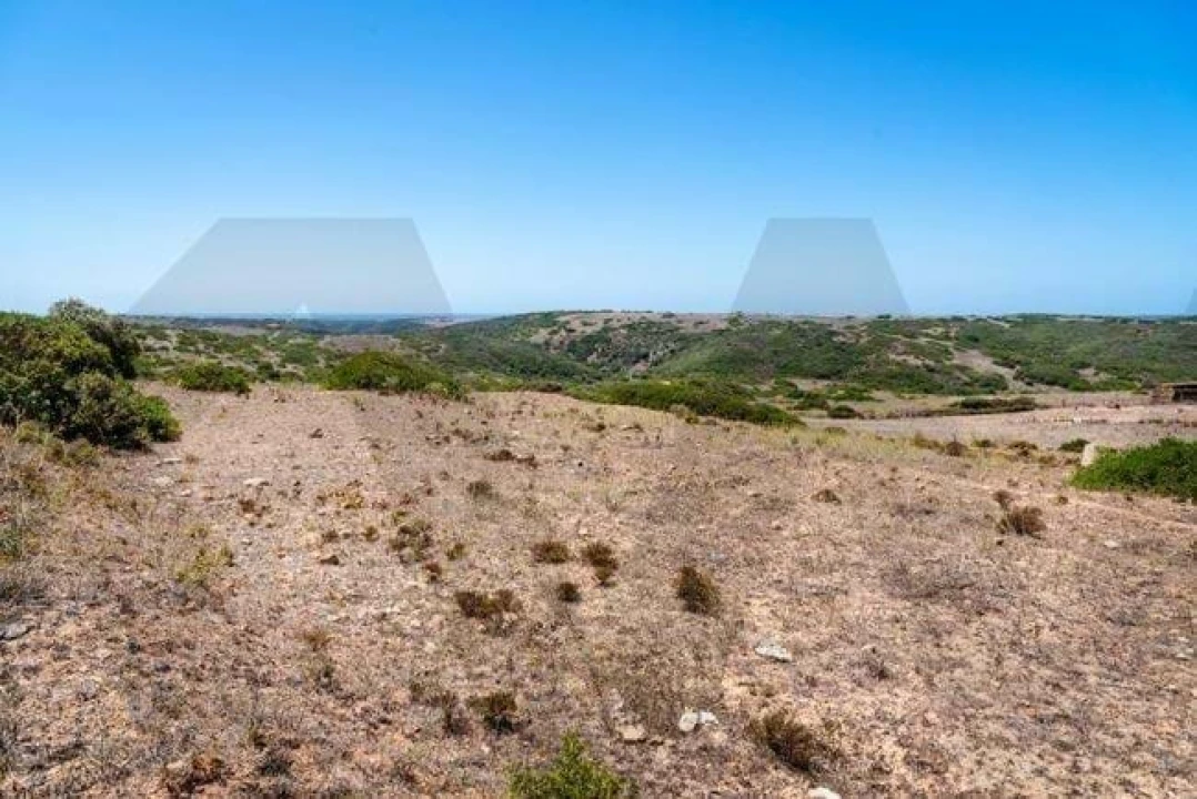Terreno para Venda em Vila do Bispo e Raposeira Foto 3