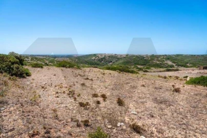 Terreno para Venda em Vila do Bispo e Raposeira