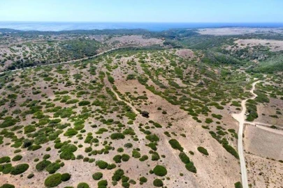 Terreno para Venda em Vila do Bispo e Raposeira