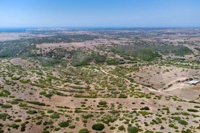 Terreno para Venda em Vila do Bispo e Raposeira