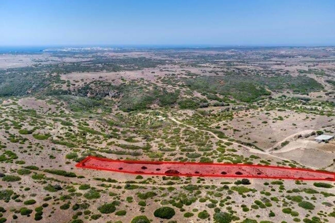 Terreno para Venda em Vila do Bispo e Raposeira Foto 4