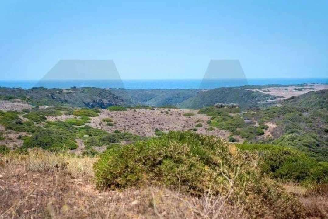 Terreno para Venda em Vila do Bispo e Raposeira Foto 5