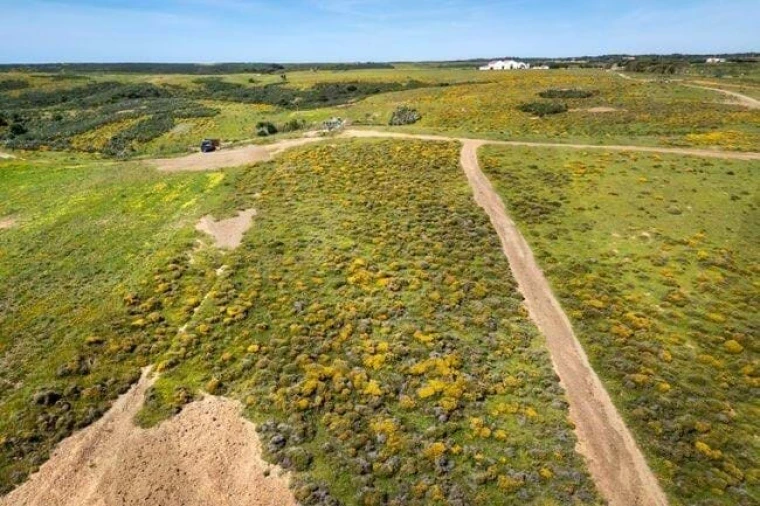 Terreno para Venda em Vila do Bispo e Raposeira Foto 4