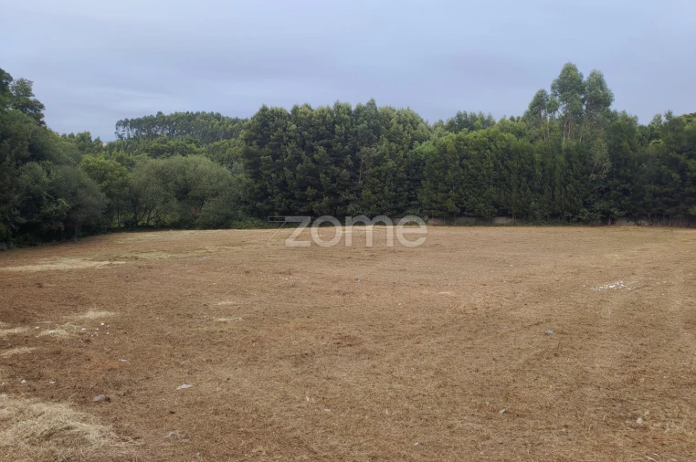 Terreno para Venda em Pedroso e Seixezelo Foto 5