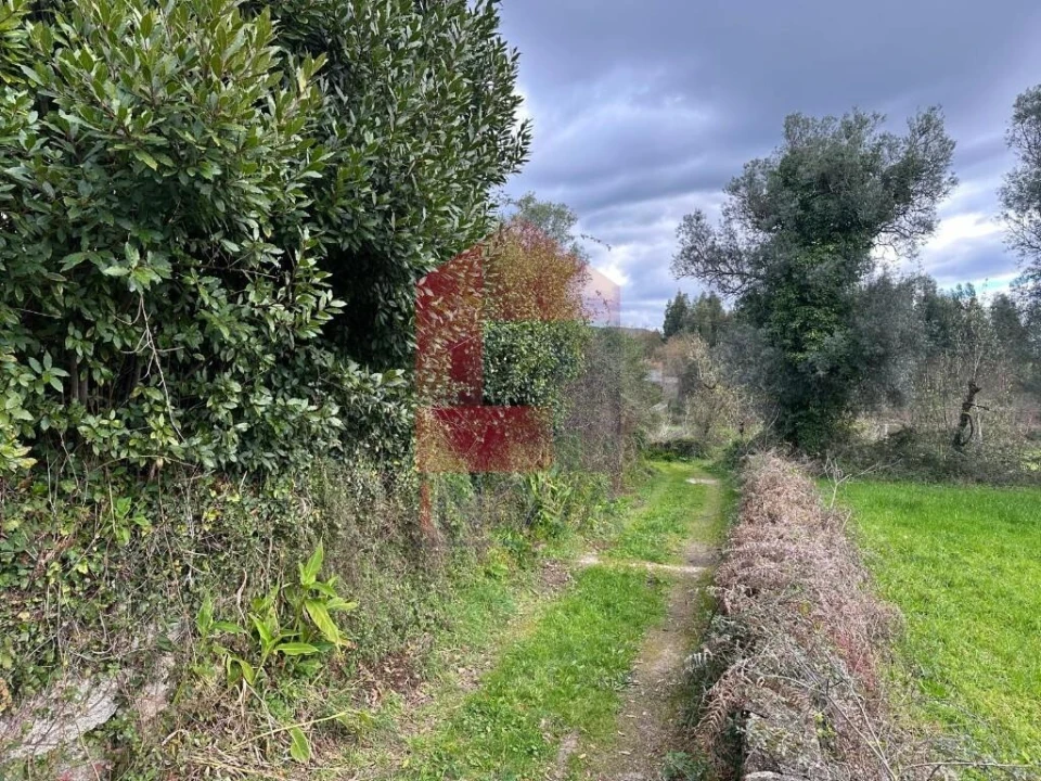 Quinta T5 para Venda em Valdreu Foto 119