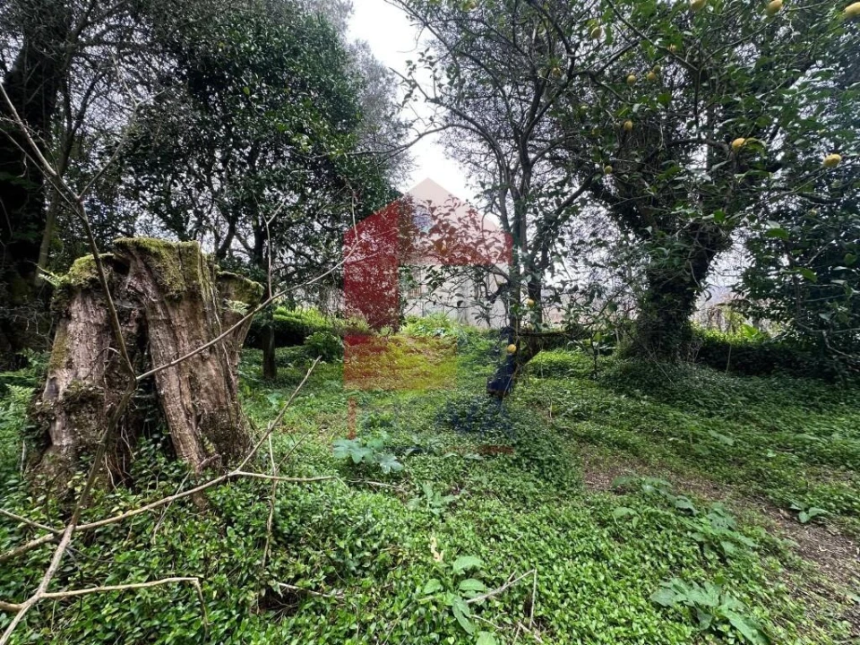 Quinta T5 para Venda em Valdreu Foto 49