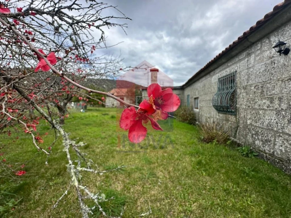 Quinta T5 para Venda em Valdreu Foto 103