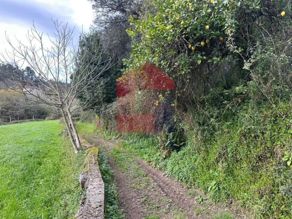 Quinta T5 para Venda em Valdreu Foto 120