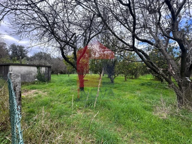 Quinta T5 para Venda em Valdreu Foto 33