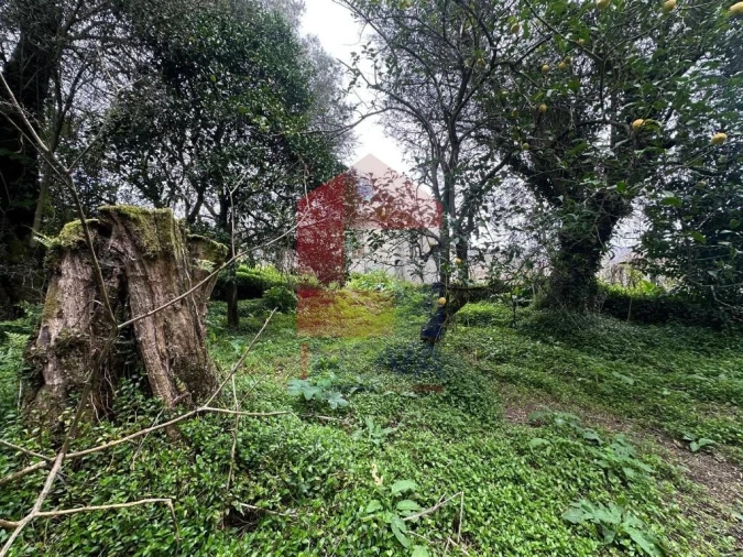 Quinta T5 para Venda em Valdreu Foto 49